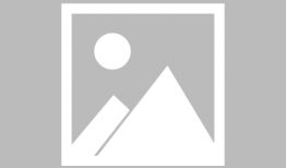 娱乐圈吃瓜任豪,娱乐圈吃瓜达人，揭秘明星幕后故事